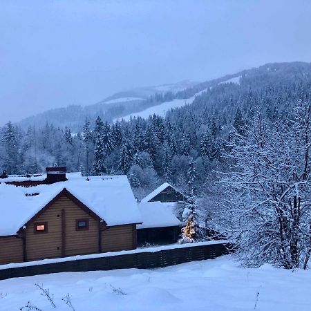 Шалe У Пилипці Chalet Pylypets Pilipets Dış mekan fotoğraf