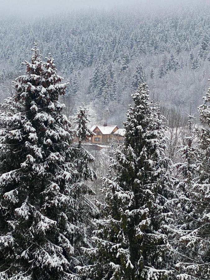 Шалe У Пилипці Chalet Pylypets Pilipets Dış mekan fotoğraf